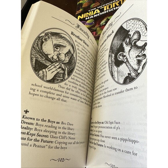 Lot (7) Boy's Illustrated TMNT Lego Comic Marvel Chapter Books Reading Star Wars - Picture 12 of 16